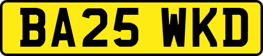 BA25WKD