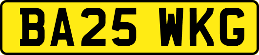 BA25WKG