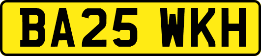 BA25WKH
