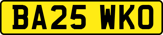 BA25WKO