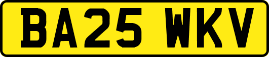 BA25WKV