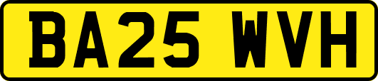 BA25WVH