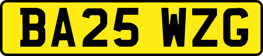 BA25WZG