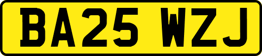 BA25WZJ