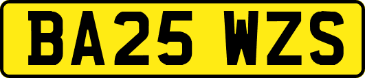 BA25WZS