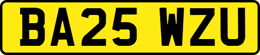 BA25WZU