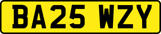 BA25WZY