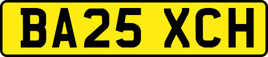BA25XCH