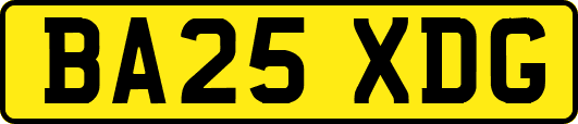 BA25XDG