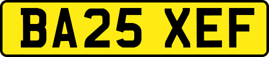 BA25XEF