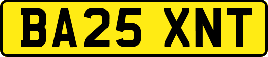 BA25XNT