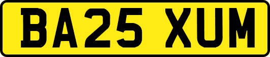 BA25XUM
