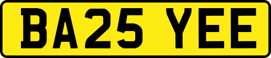 BA25YEE