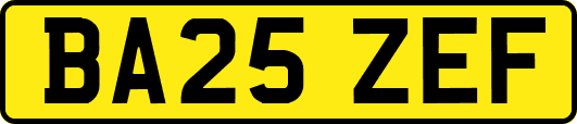 BA25ZEF