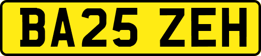BA25ZEH