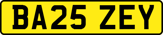BA25ZEY