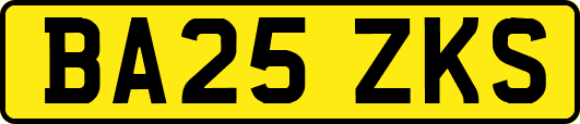 BA25ZKS
