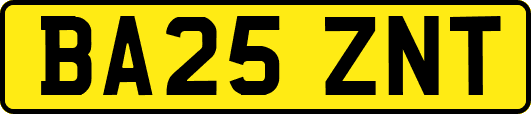 BA25ZNT