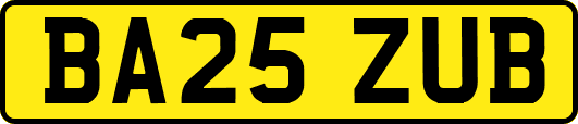 BA25ZUB