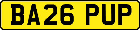 BA26PUP