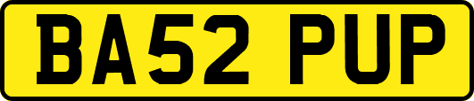 BA52PUP