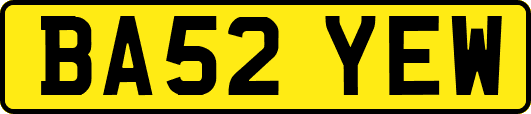 BA52YEW