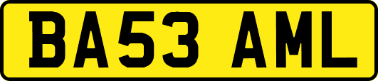 BA53AML
