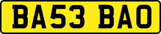 BA53BAO