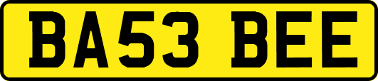 BA53BEE