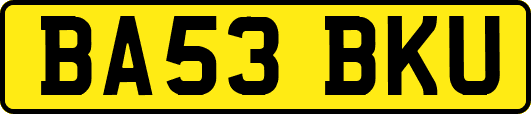 BA53BKU