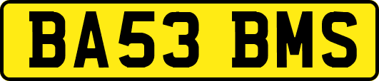 BA53BMS