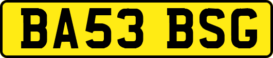 BA53BSG
