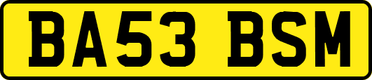 BA53BSM