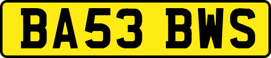 BA53BWS