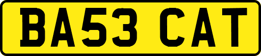 BA53CAT