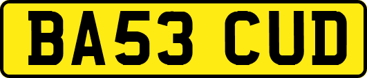 BA53CUD