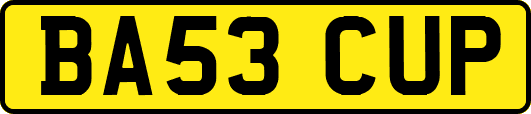 BA53CUP