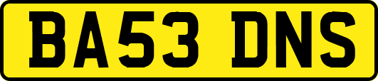 BA53DNS