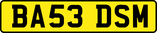 BA53DSM