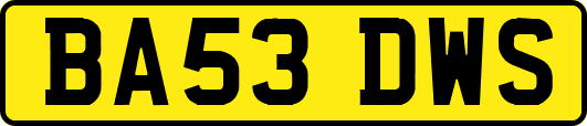 BA53DWS