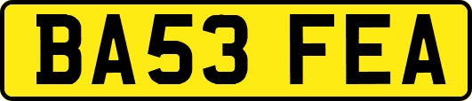 BA53FEA