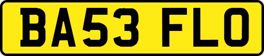BA53FLO