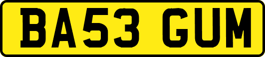 BA53GUM