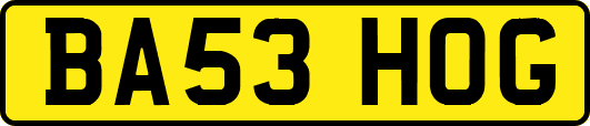 BA53HOG