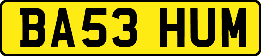 BA53HUM