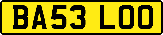 BA53LOO