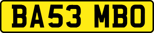 BA53MBO