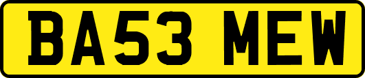 BA53MEW