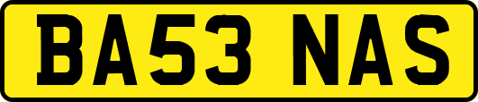BA53NAS