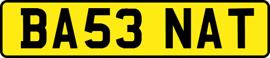 BA53NAT